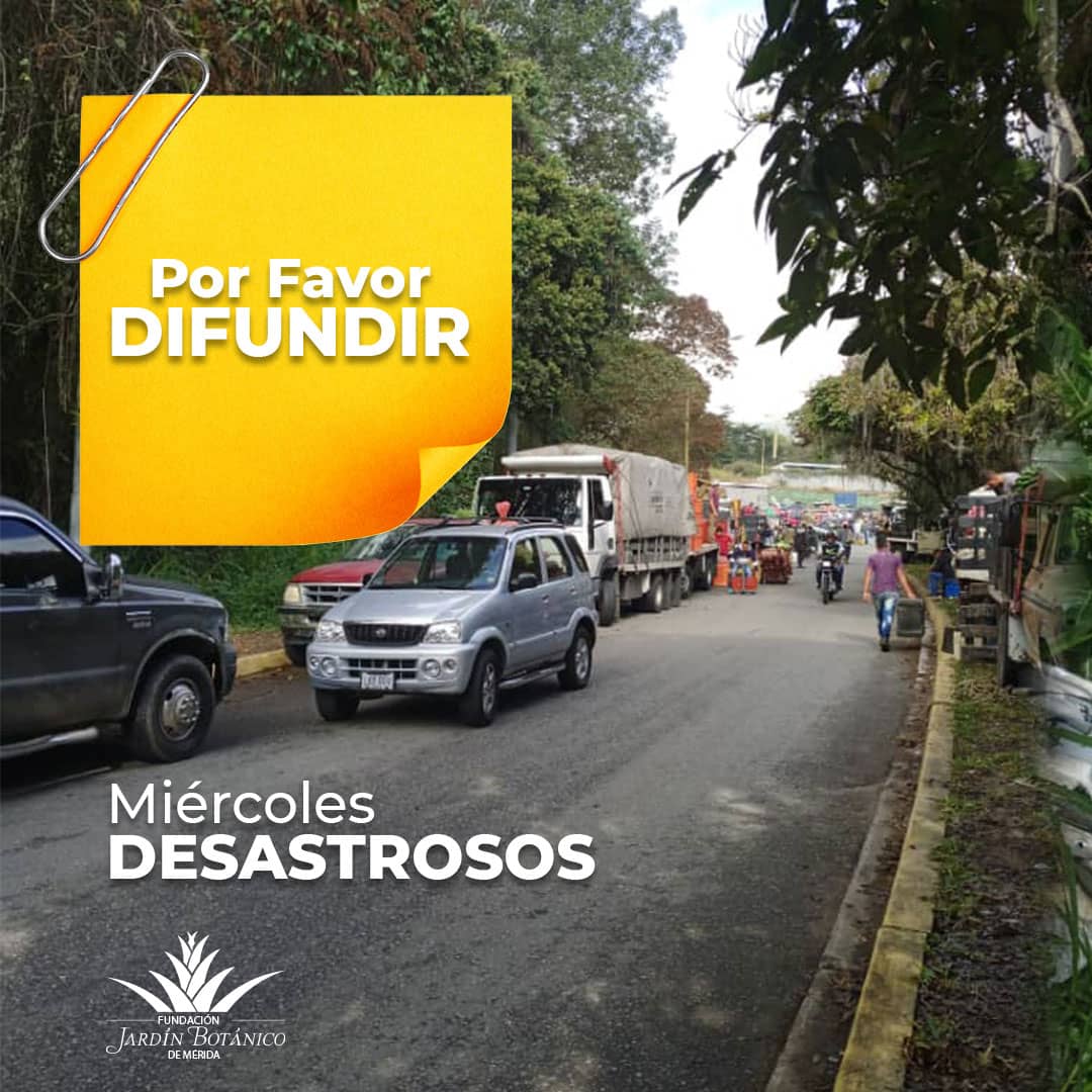 bonuccimario's tweet photo. El Mercado de Mayoristas obstruye los portones de acceso de la entrada norte del jardín y de la vialidad, particularmente los días miércoles de cada semana. https://t.co/z4GEtzdYlO