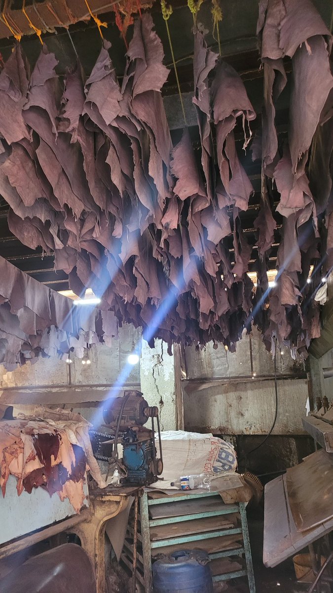 melania2022's tweet photo. Dharavi slum tour https://t.co/AF8afCOiFU