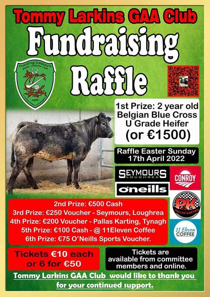 Tommy Larkins Gaelic Athletic Club tweet media