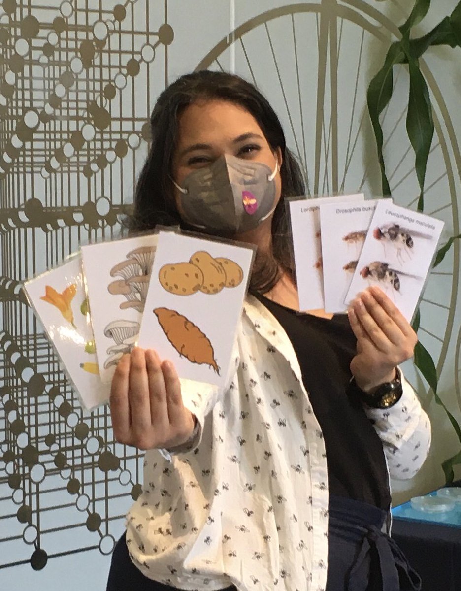 Do you know Where to put your grubs? Test your fly laying knowledge, at #EdSciFest. FIGHT ME! #SciComm