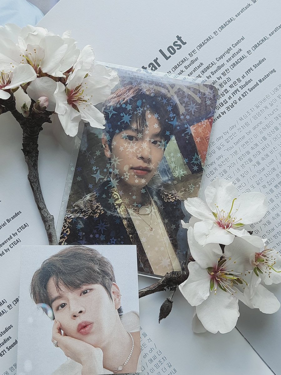softchanniex's tweet photo. #SpringWithSeungmin 💓🌸 https://t.co/qP835VqP3Z