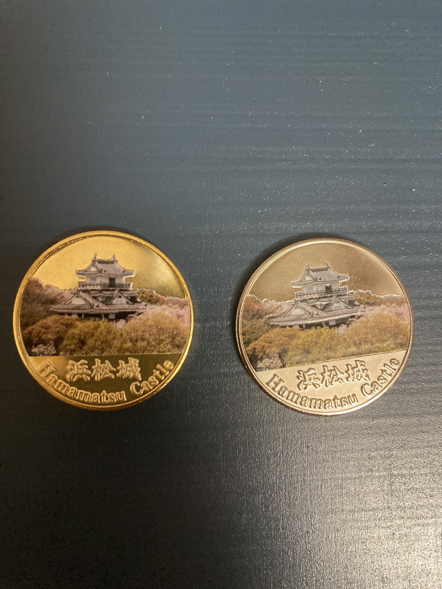 浜松城☆記念メダル☆茶平