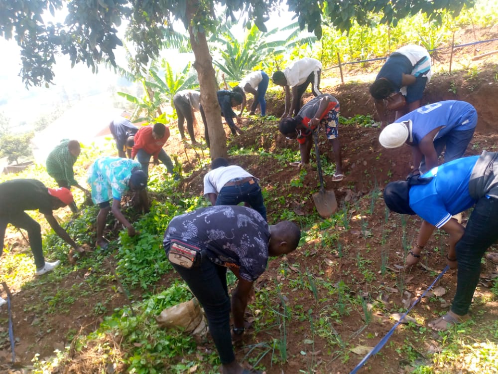RugengeC's tweet photo. Muri gahunda yo kugira#Umudugudu uzira igwingira@Rugenge ku bufatanye#youth volunteers, twavuguruye uturima 10 tw'igikoni mu Midugudu@UBUMANZI&amp;RUGENGE.

@MuhimaRwanda https://t.co/ndxfnBarQQ
