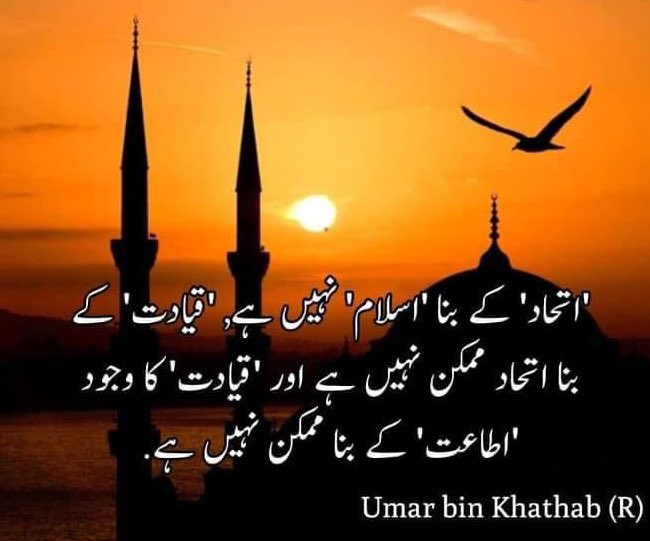 SyedMoin9890's tweet photo. #Ittehaad #اتحاد https://t.co/gfPJ7bQXPb