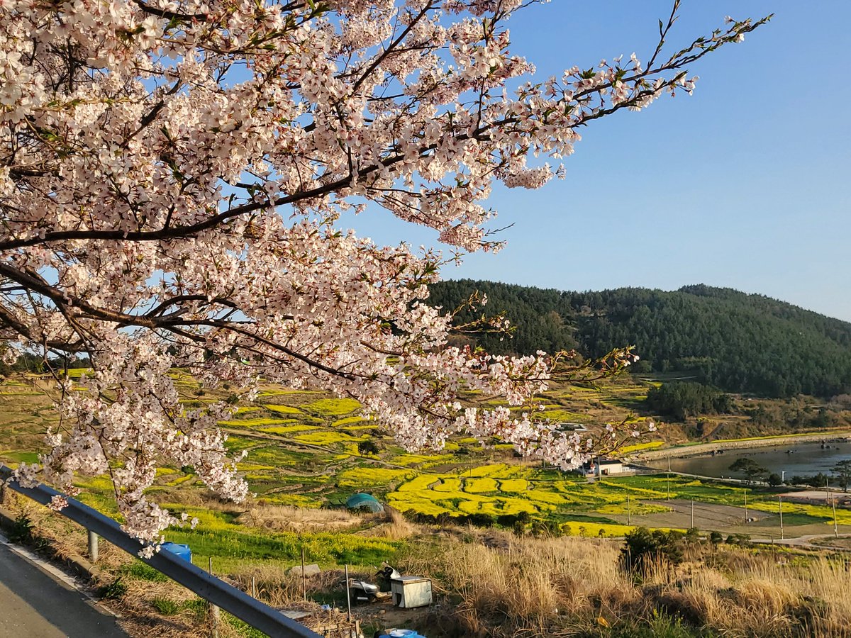 냥이네 tweet media