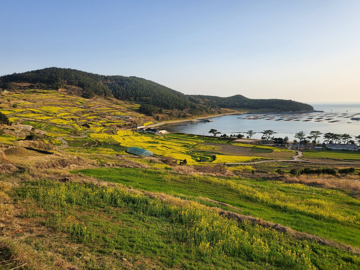 냥이네 tweet media