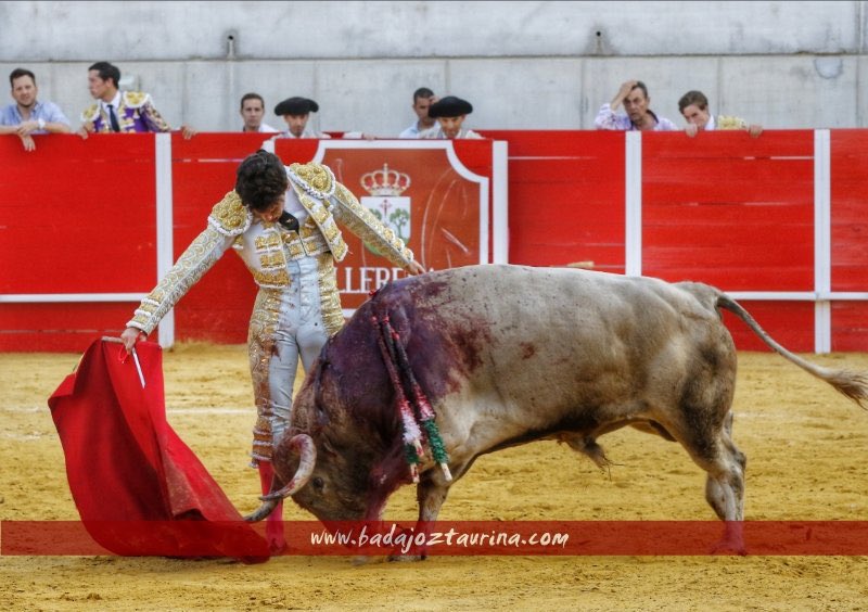 Tomás Campos tweet media