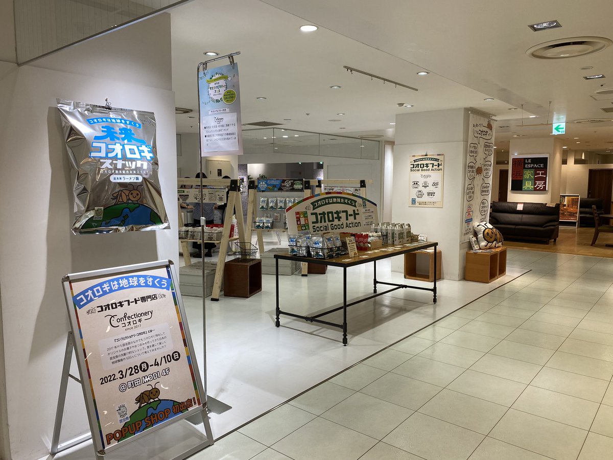 コンフェクショナリー・コオロギ tweet media