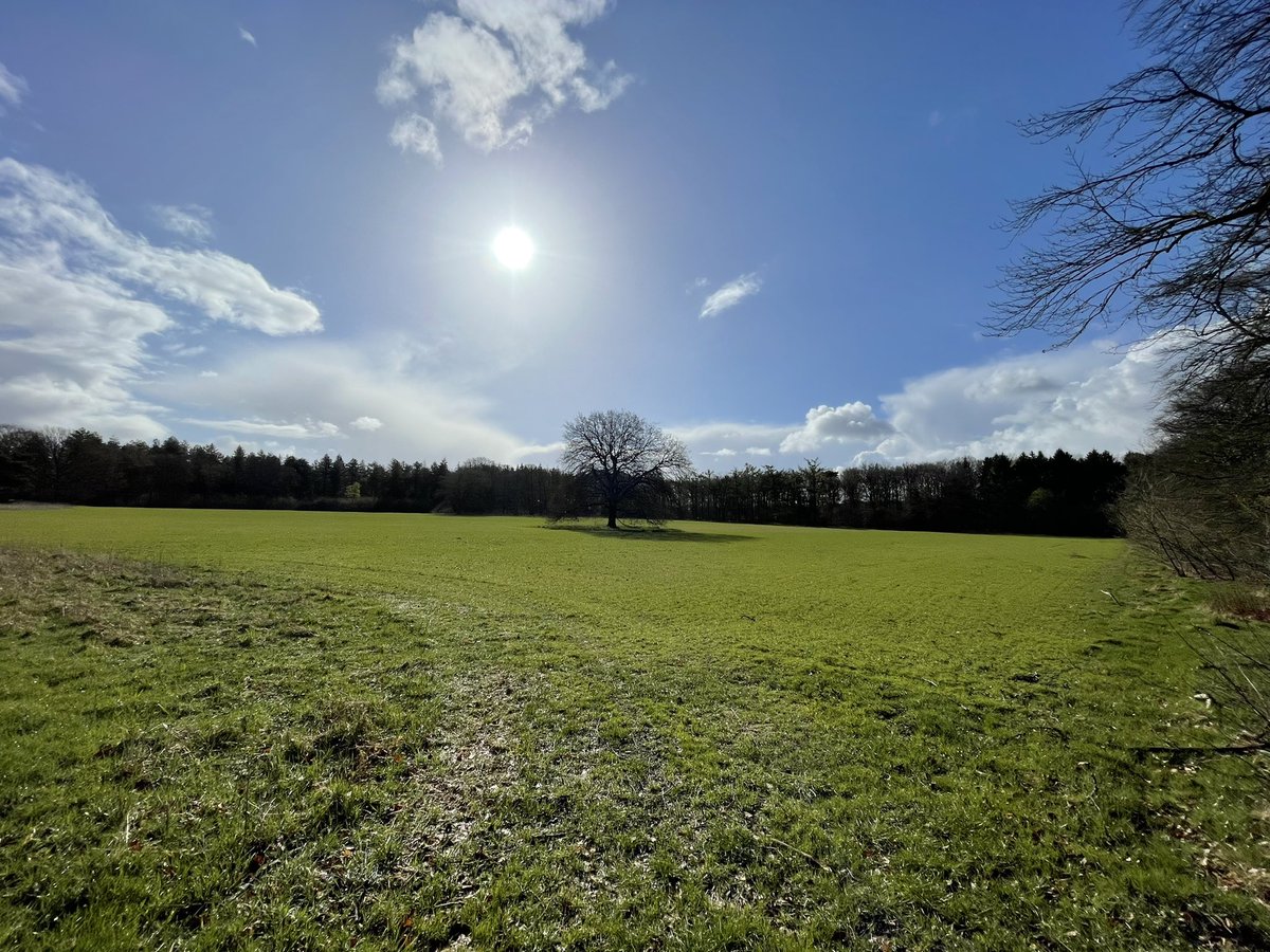 Goedemorgen ! #natuur #utrechtslandschap #Goedemorgen #mooi