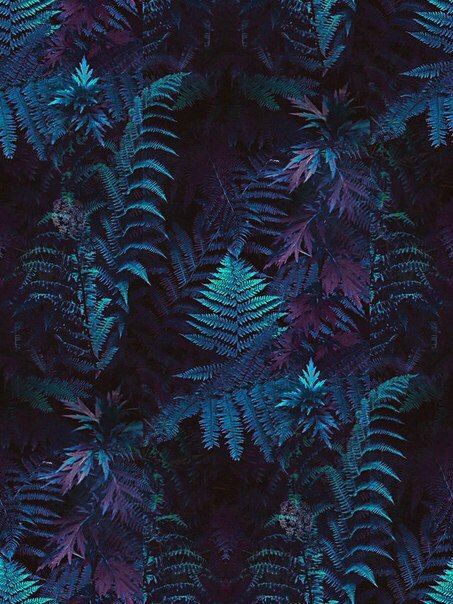 archillect's tweet photo. https://t.co/KhaPzm9qye