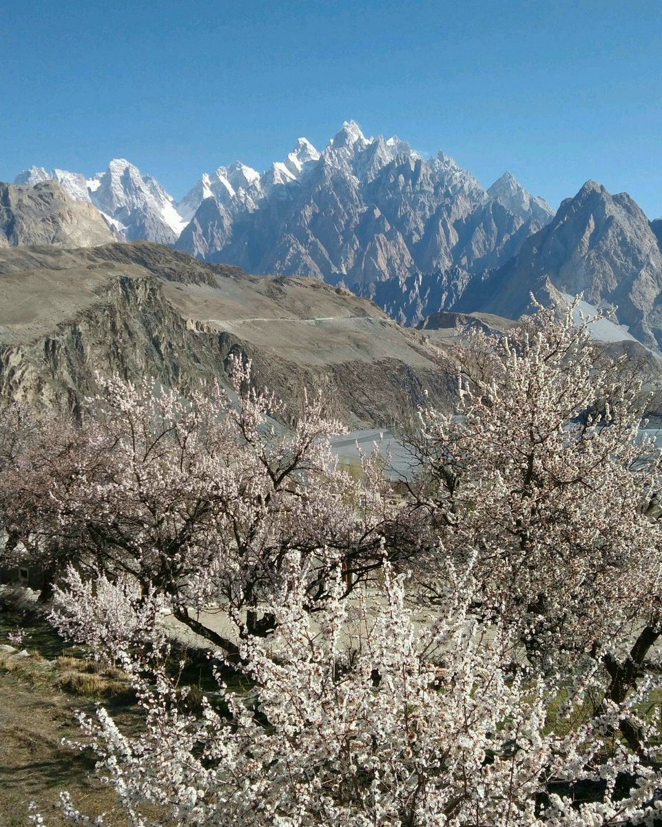 Flowers in front of Passu cones.
