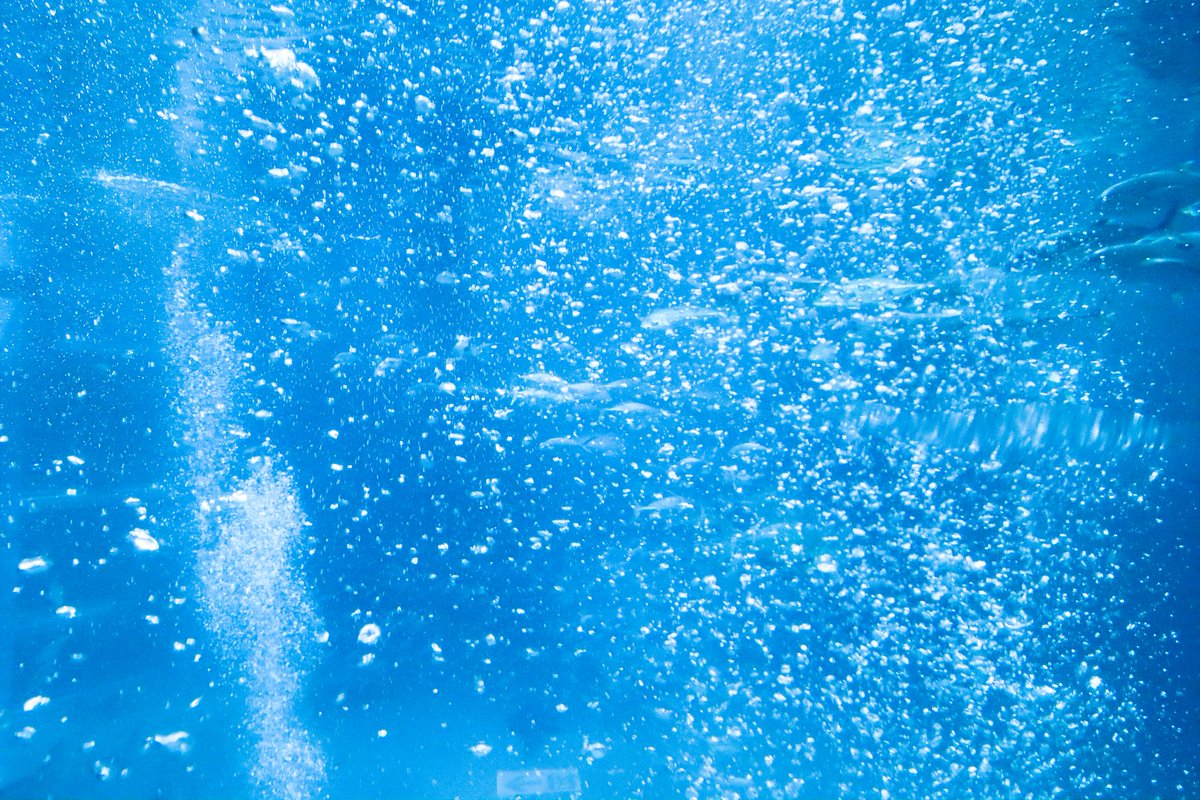 言の葉の中に残る青い涙。