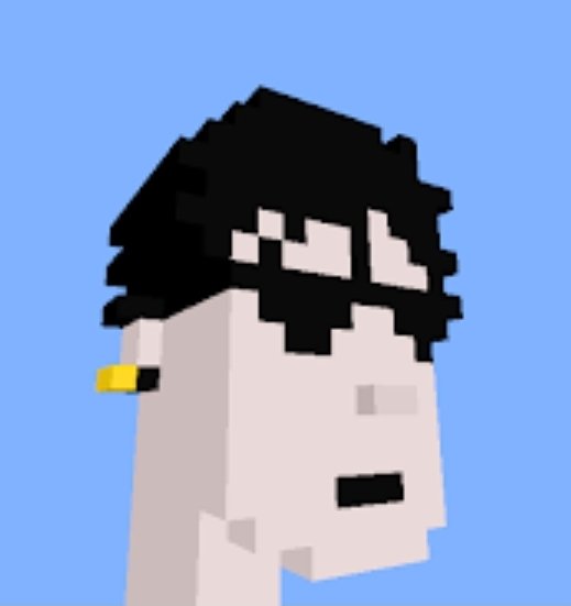 Mickrypto's tweet photo. @NFTmadmax @DooggiesNFT @PunksVoxels #onceapunkalwaysapunk https://t.co/SzNMnfRMbU