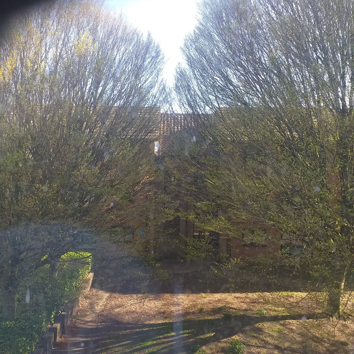 Bono66020372's tweet photo. I need to #cleanmyWindows #kitchen #WindowView #BuddingTrees #Trees #Landscapes #photo #TheGteatOutdoors #Springwatch #ChrisPackman #BordsNestsinTrees https://t.co/kgohriFEdQ