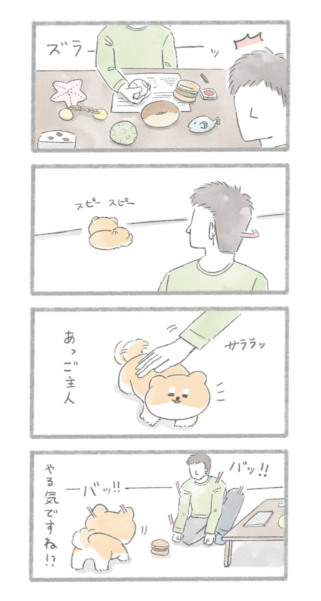 遊んでほしくておもちゃを並べるおいぬ
#こんにちはいぬです 