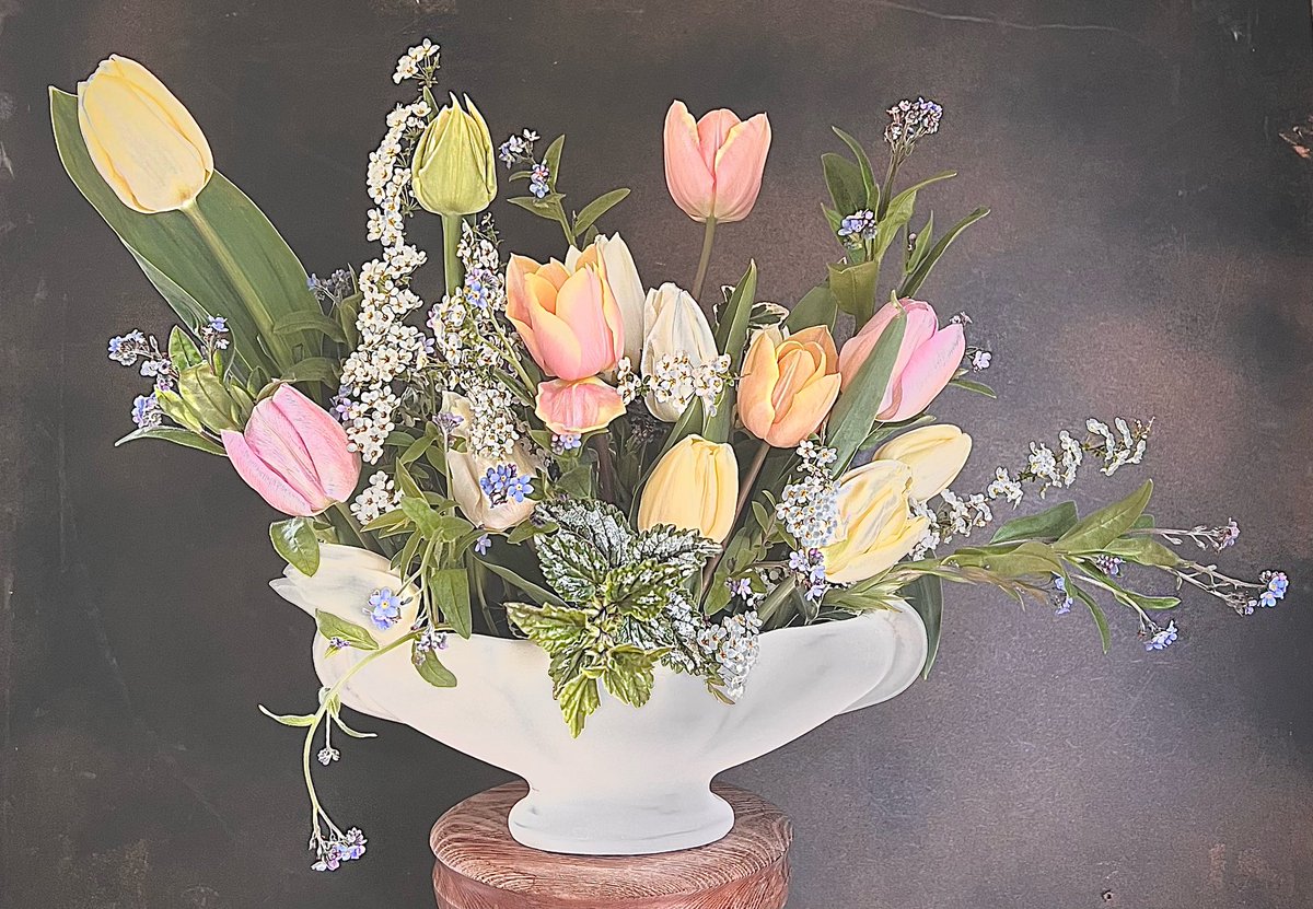 theremaybebugs's tweet photo. #prettypastels #britishflowers #tulips #spirea #forgetmenots #nettle https://t.co/Zm3qitbOYe