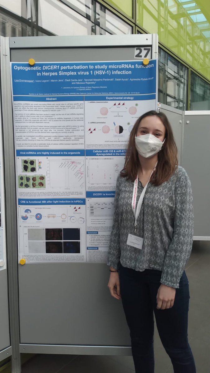 Lisa Emmenegger tweet media