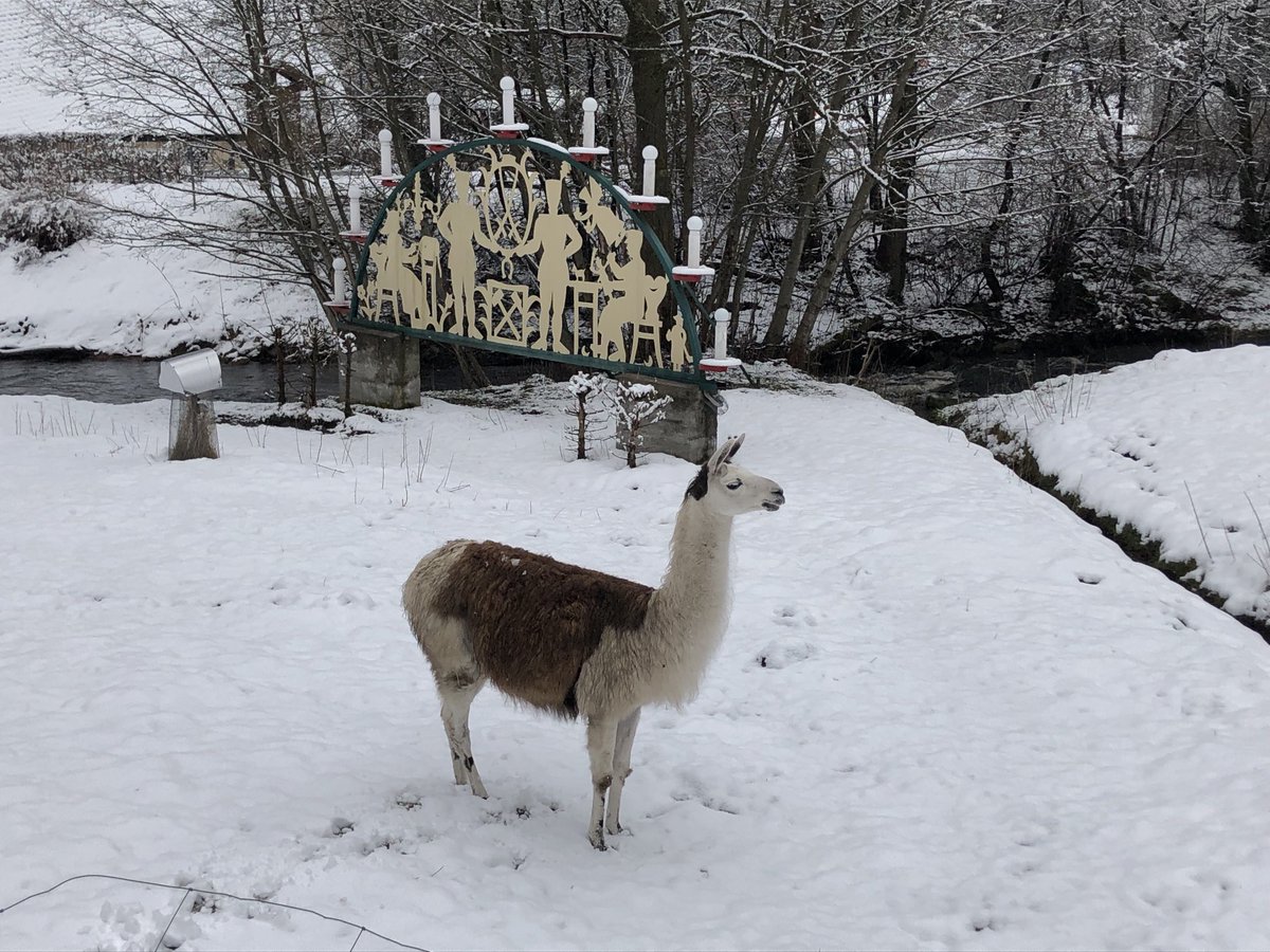 MandyWeigel16's tweet photo. Schnee heute in #Erlabrunn/ #Erzgebirge https://t.co/XJr0Keu8B1