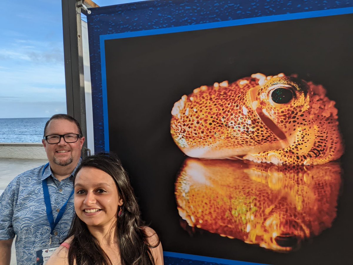 Spencer Nyholm tweet media