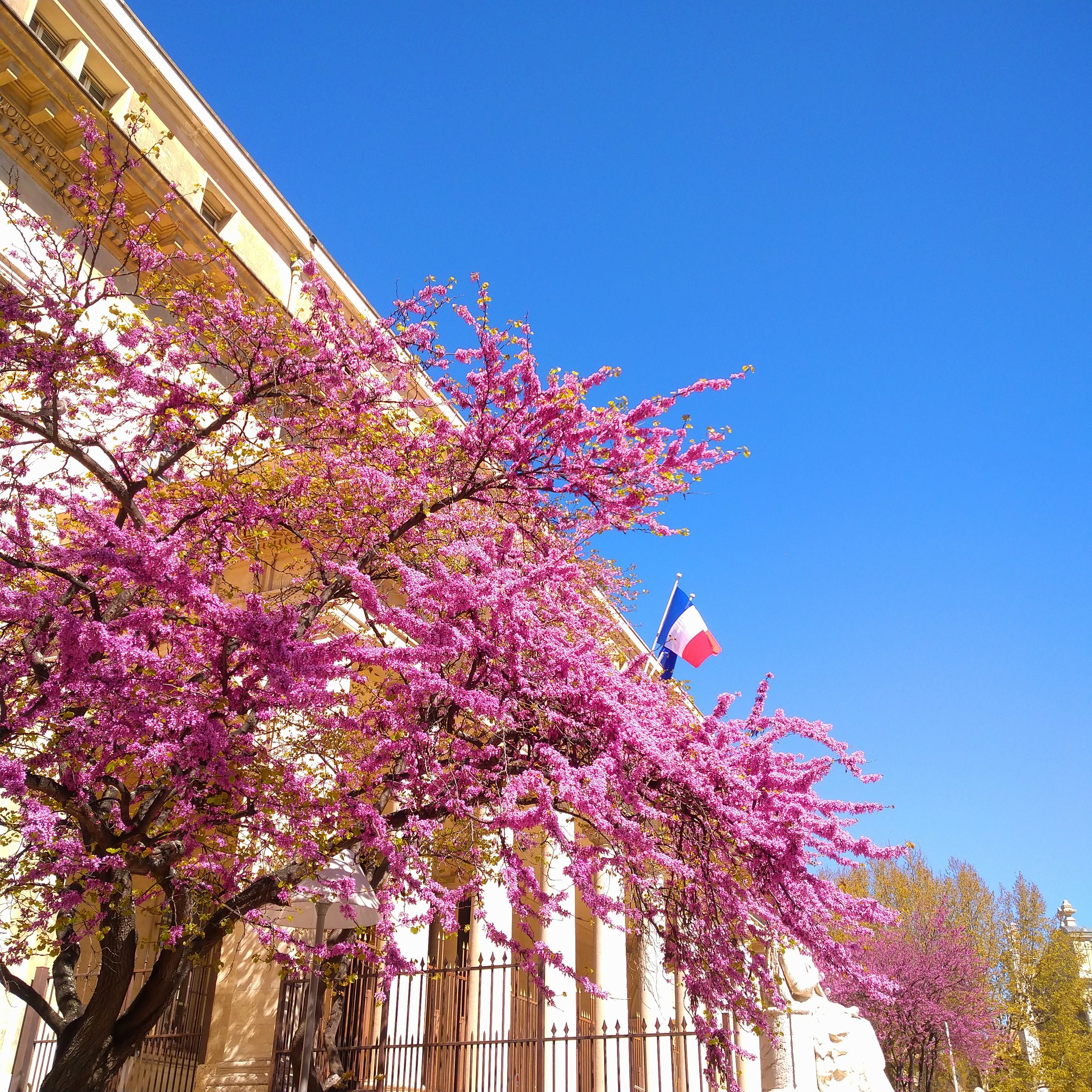 南仏プロヴァンスなう Provence Fr Twitter