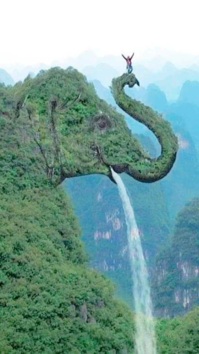 danjeffrio's tweet photo. Une nature imaginaire ??? https://t.co/LA1wN5x05N