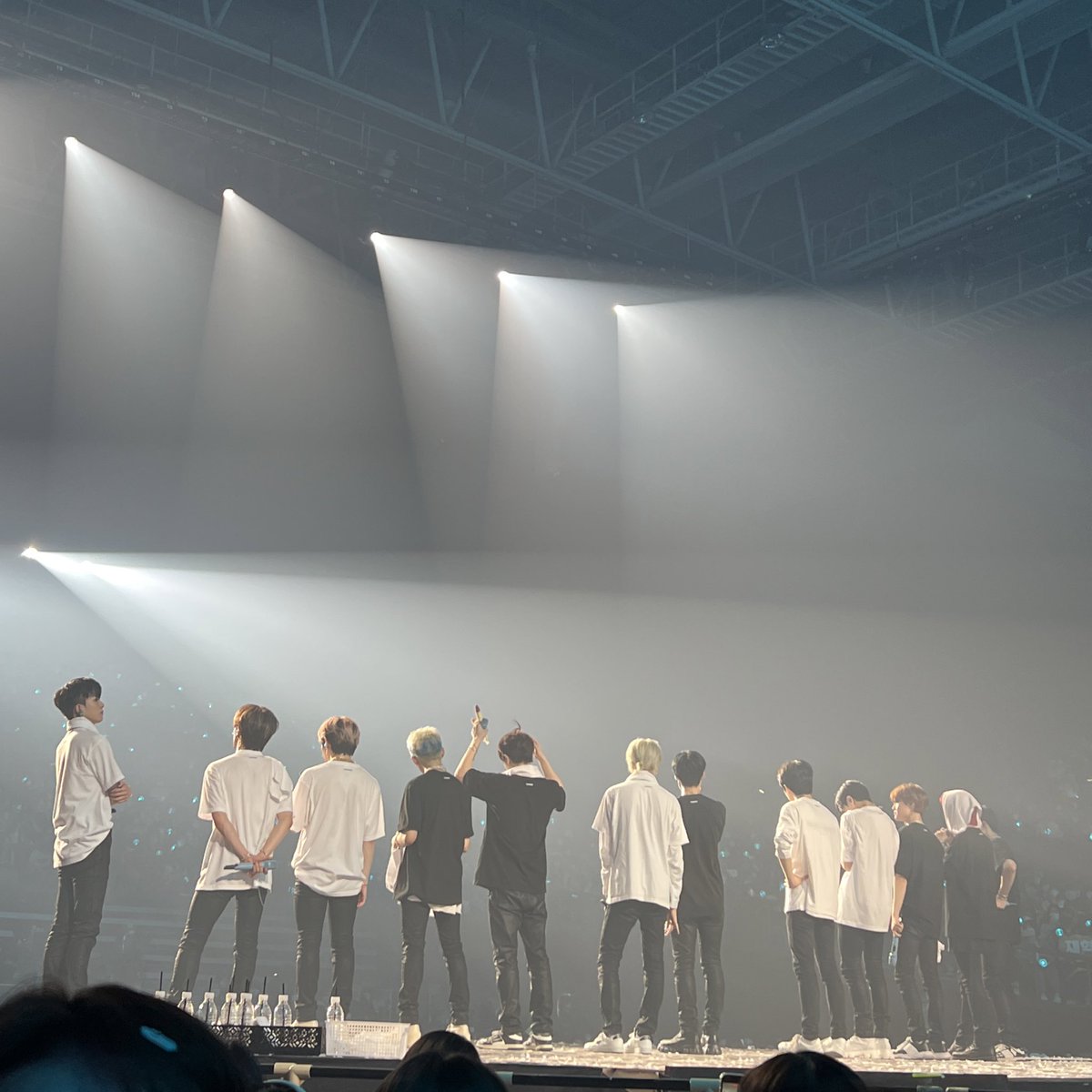 비비 tweet media