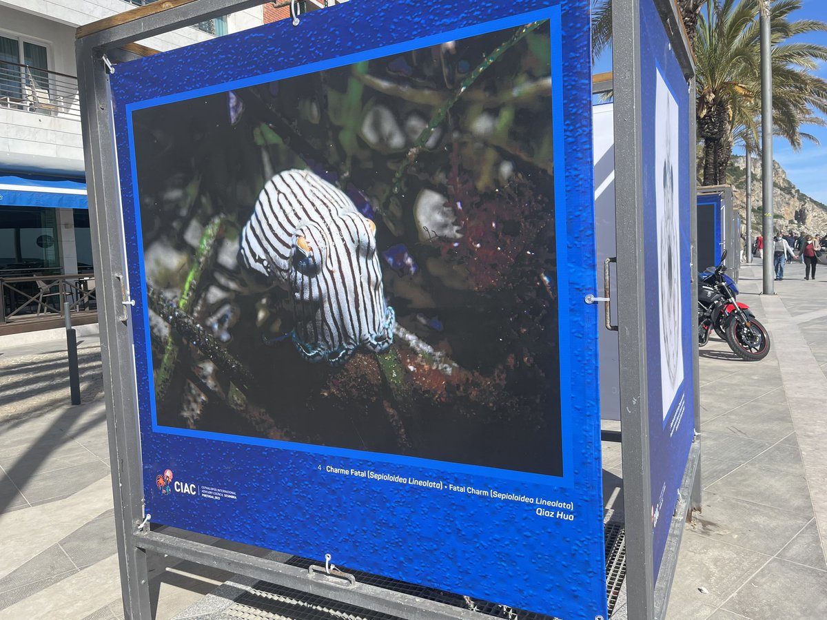 Spencer Nyholm tweet media