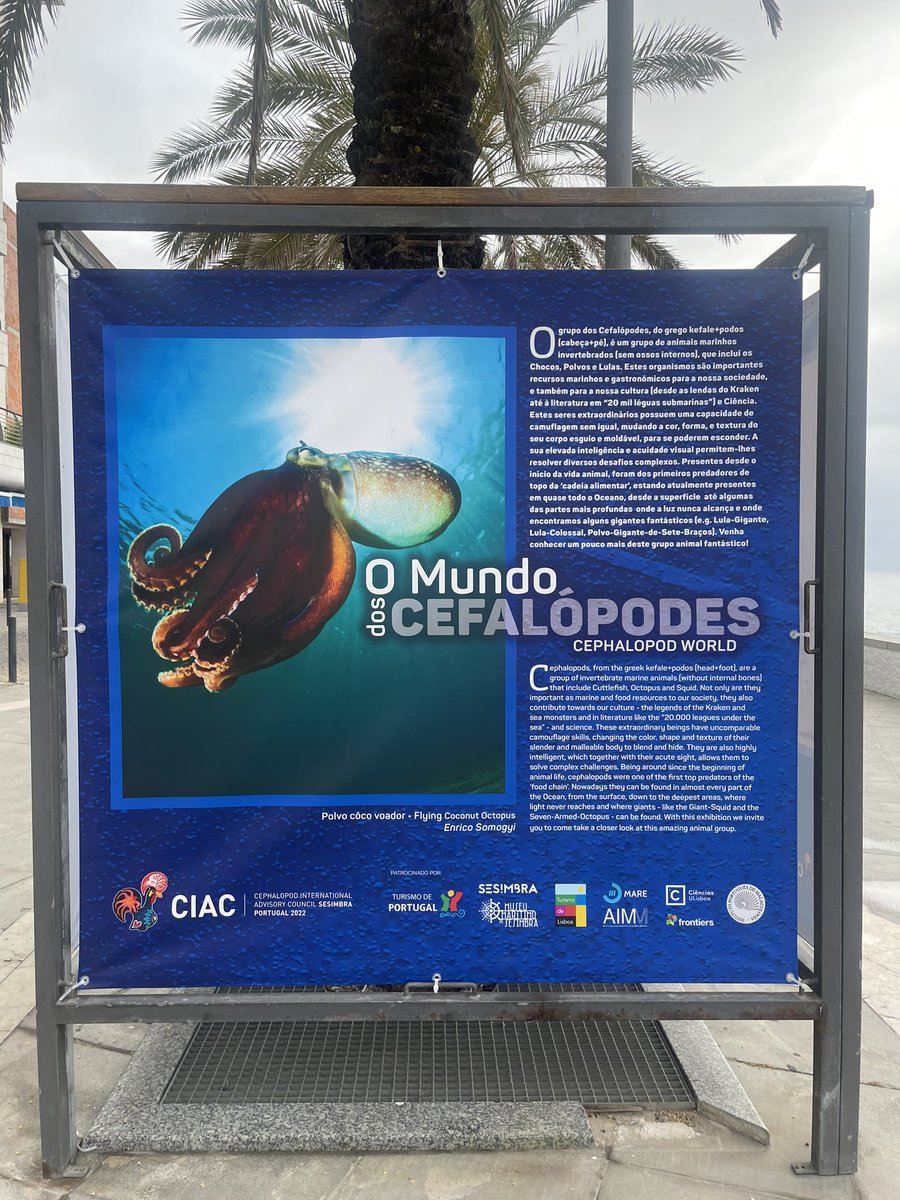 Spencer Nyholm tweet media