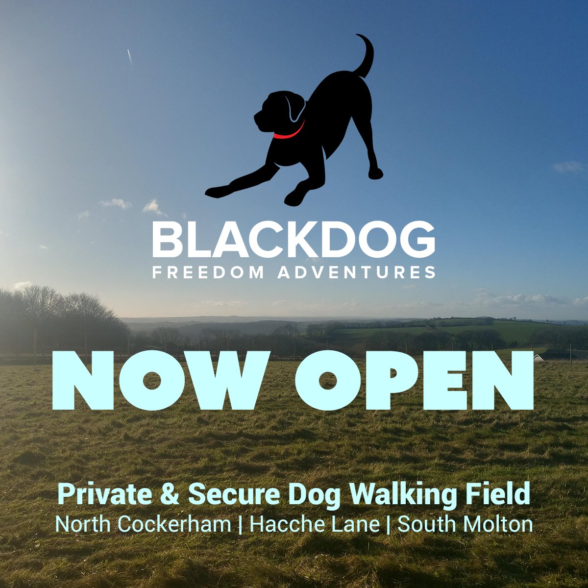 BLACKDOG Freedom Adventures (@BlackDogFreedom) / Posts / X