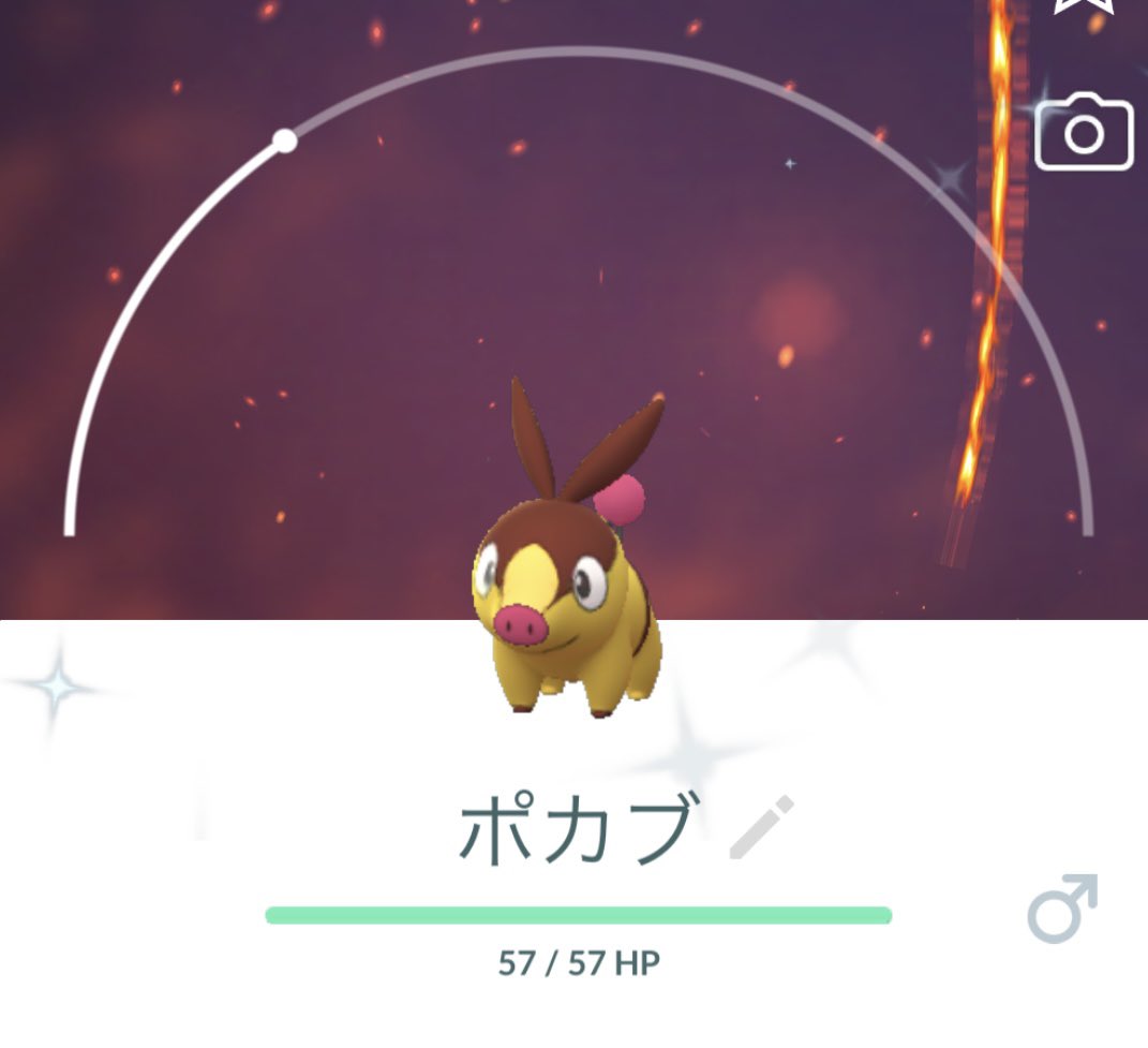 ポケモンgo ポカブの色違い 入手方法と実装状況 攻略大百科 ポケモンgo ポカブの色違い 入手方法と実装状況 攻略大百科
