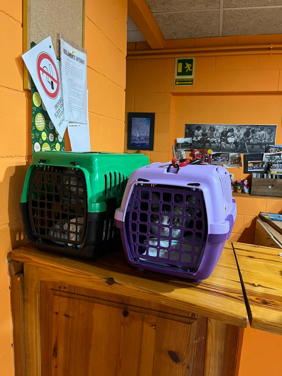 The Infinite Machine Movie & Collection tweet media