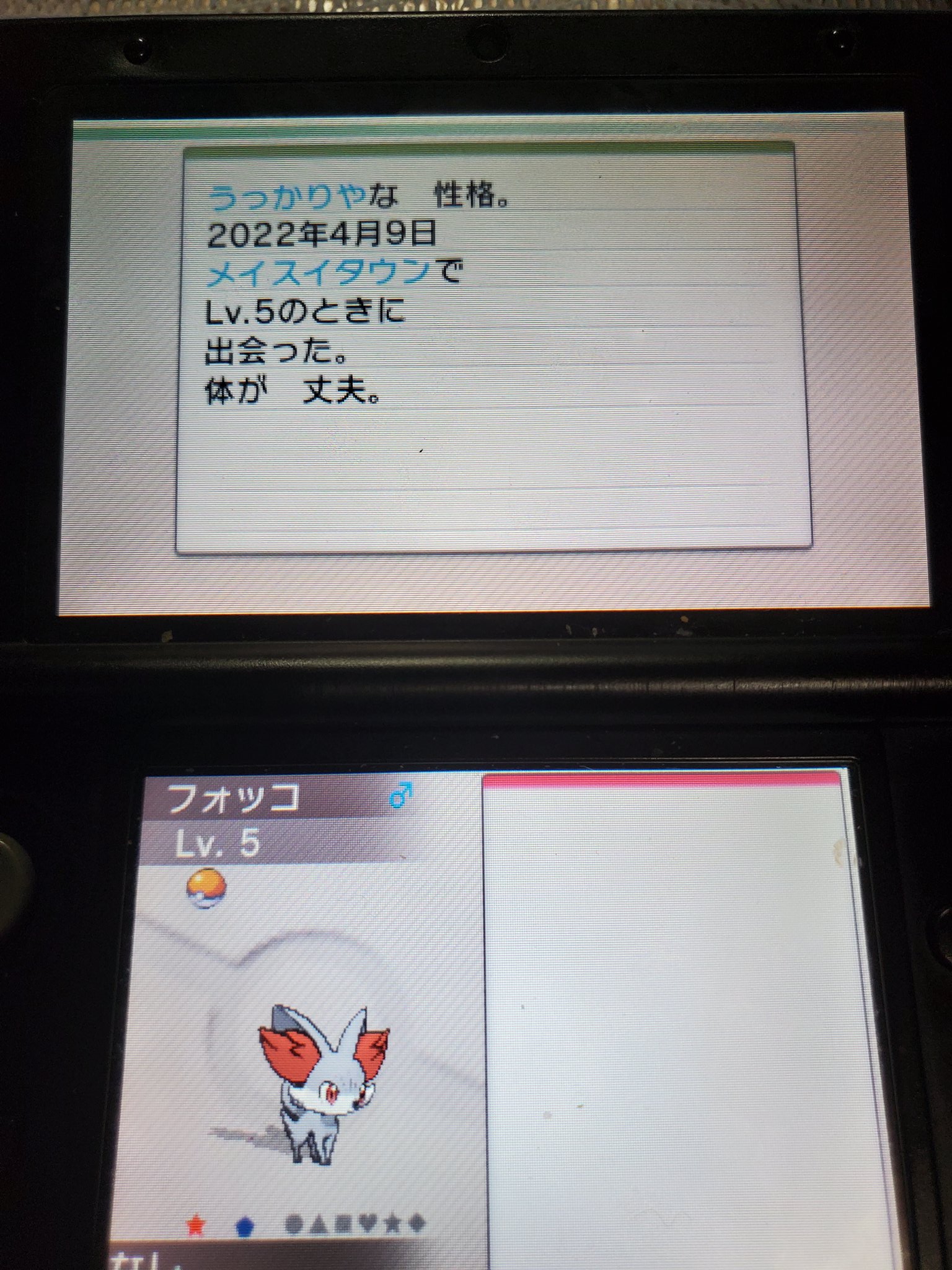 きこう元勇者 マヤちゃん生誕祭22 ポケモンxy 昨晩のアニポケに再登場した セレナ 第1パートナーの フォッコを 2画面で色違い厳選して 前回のケロマツから6日目 リセマラ数2462回目で 2匹目の 色違いフォッコｷﾀ ﾟ ﾟ 可愛すぎる
