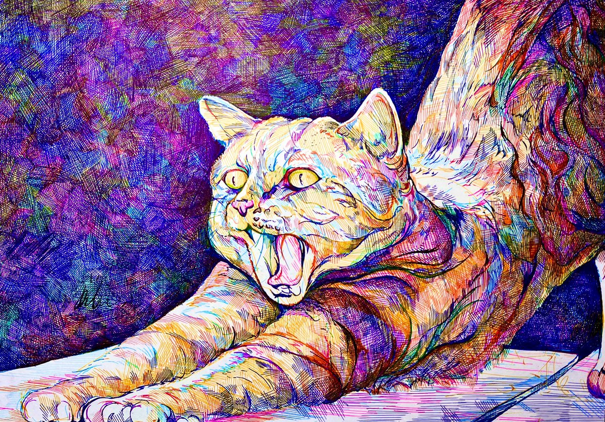 ボールペンで猫さん描きました! 伸び&あくび可愛らしいです