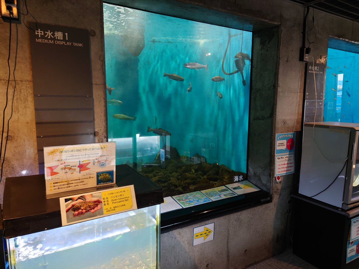 ARISAKAMigiwa's tweet photo. 今日は午後1時まで惰眠を貪ってしまったので、標津サーモン科学館へ。あらためてじっくり館内を回ると、新たな発見がある。
#標津サーモン科学館 #shibetsusalmonmuseum #日本遺産 #鮭の聖地の物語 #根室海峡一万年の道程 #エキシビションルーム #shibetsu #salmon #museum
https://t.co/FEftOubGvy https://t.co/3OxtiiOXND