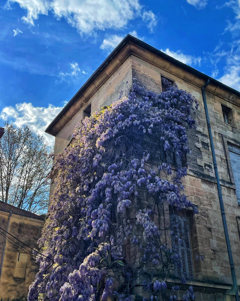 MissNForbes's tweet photo. 🇫🇷une semaine fantastique pour apprendre le français à Montpellier👩🏻🏫 A big thank you to @MrDChamplin for organising☺️ @LfeeEurope @EUErasmusPlus @MissOrmistonVPS @Mrs_Rankin_VPS #ErasmusPlus #lfee https://t.co/6rl70QjyMh