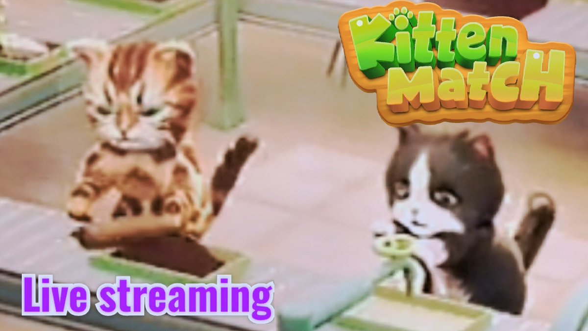 v3t6RdnFmNoEijZ's tweet photo. 19時半くらいから、YouTubeの僕のチャンネルでパズにゃん(Kitten Match)のライブ配信やるよ〜😼
#KittenMatch
#パズにゃん
#YouTube
#ライブ配信
#LiveStreaming https://t.co/ySoPv8tSi9