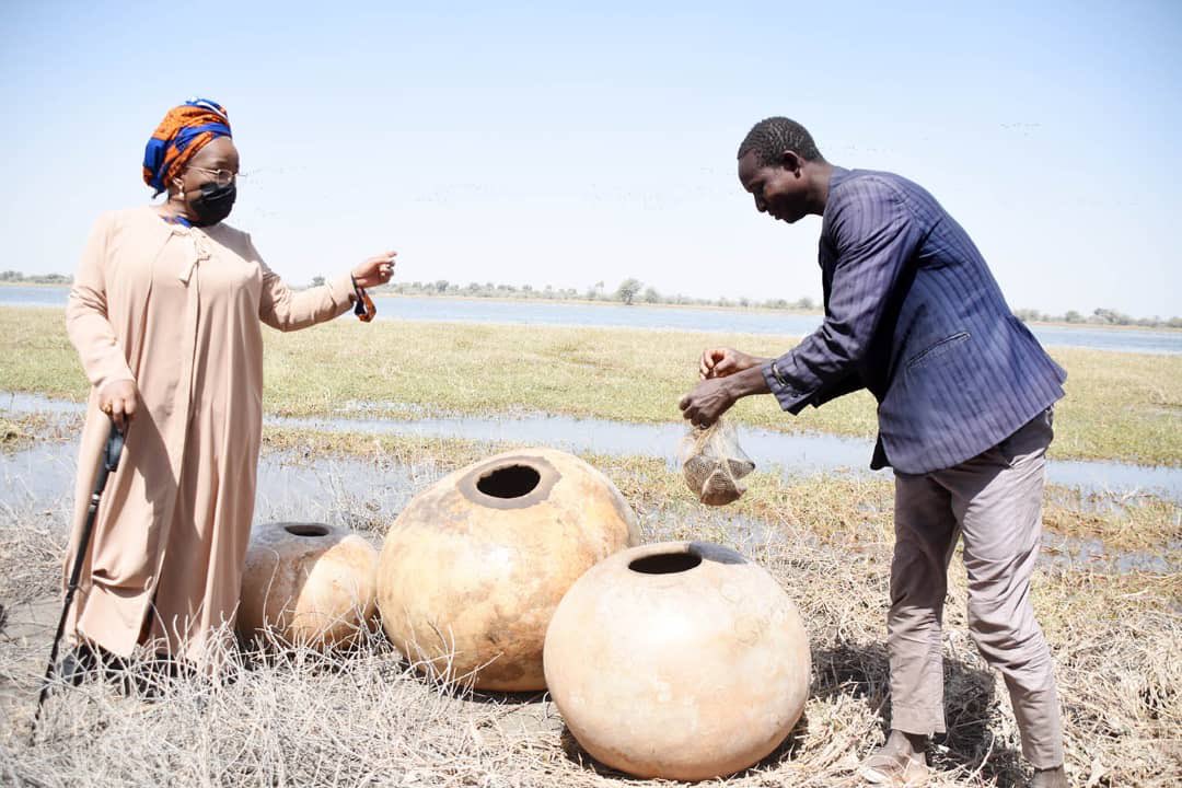 1_billiontrees's tweet photo. More than a minister of environment - a humble public servant with a heart for #people, #nature and #climate @sharon_ikeazor 🇳🇬 https://t.co/V8C0q7ke6w