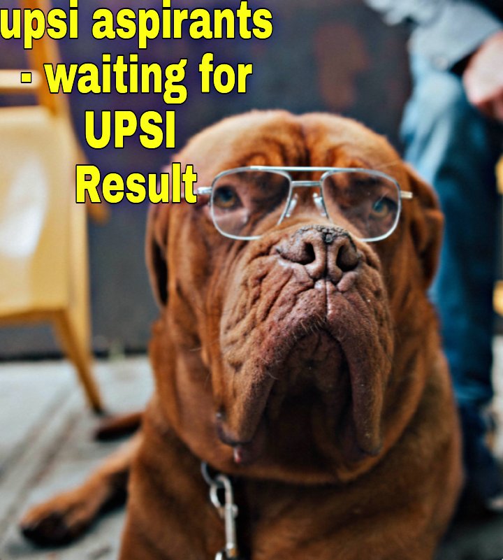 Ds5950542Singh's tweet photo. There were millions of tweets on 3rd April but nobody cares are pain. This attitude of yours is spoiling our future. In today's time a student has to fight for everything.
improve all of this.🙏🏻
#DECLAREUPSIRESULT
 @CMOfficeUP @myogiadityanath @myogioffice @RamJKPathshala https://t.co/UR1wADai9x