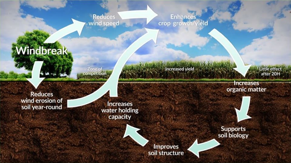 SaiRam53534452's tweet photo. #savesoil https://t.co/HFLgf9VchN