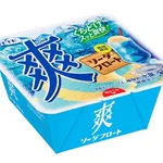 【11日発売‼】「爽 ソーダフロート」が8年ぶりに復活した‼