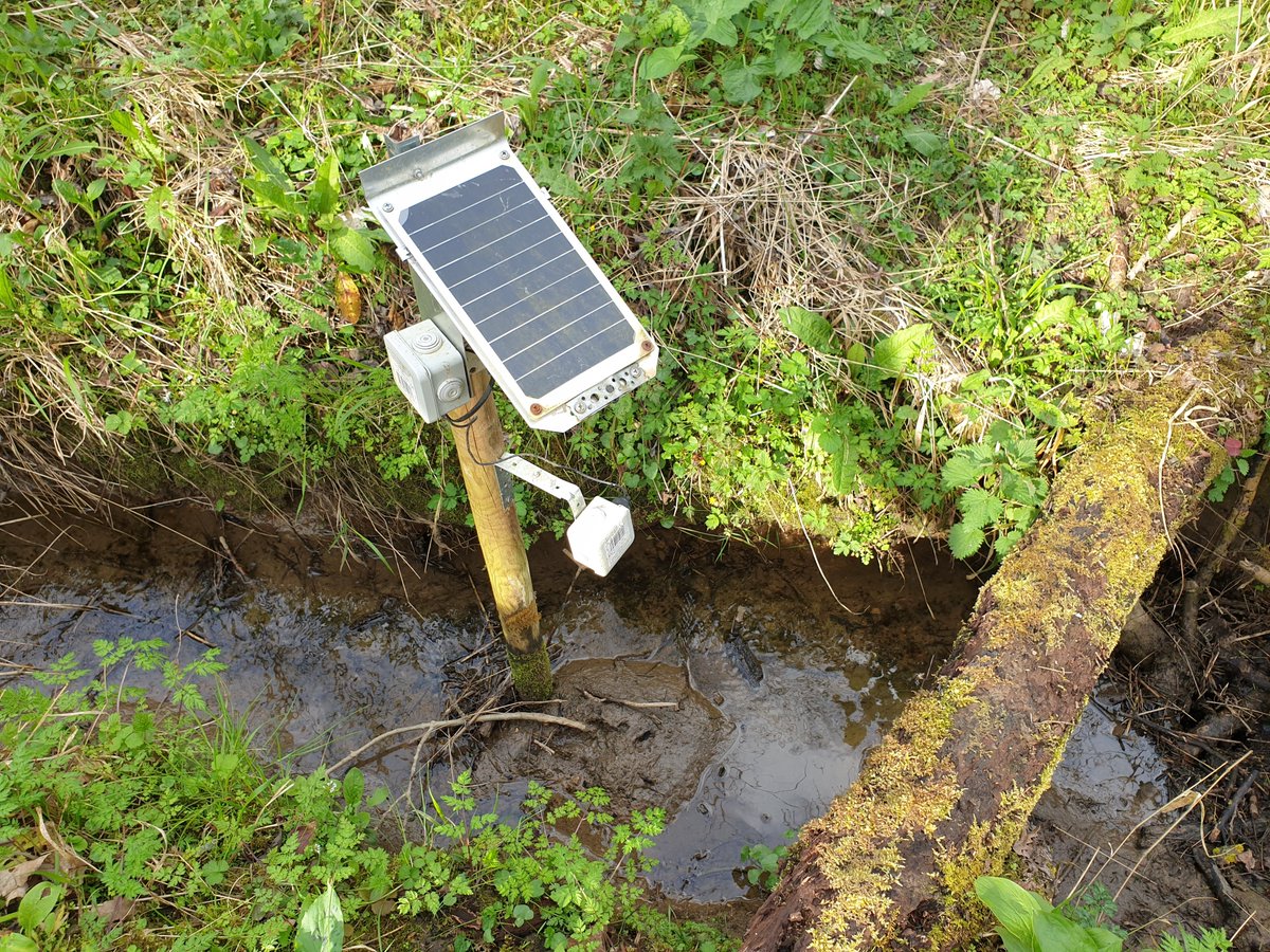 markmulligan's tweet image. Good day at @ExploreEssex  Thorndon Country Park maintaining our #NaturalFloodManagement sensors for @h2020reset. After ~3 years in the field, recording every 10mins, some of the #FreeStations are blending in with the forest. Trees down after #StormEunice, but feels like Spring.