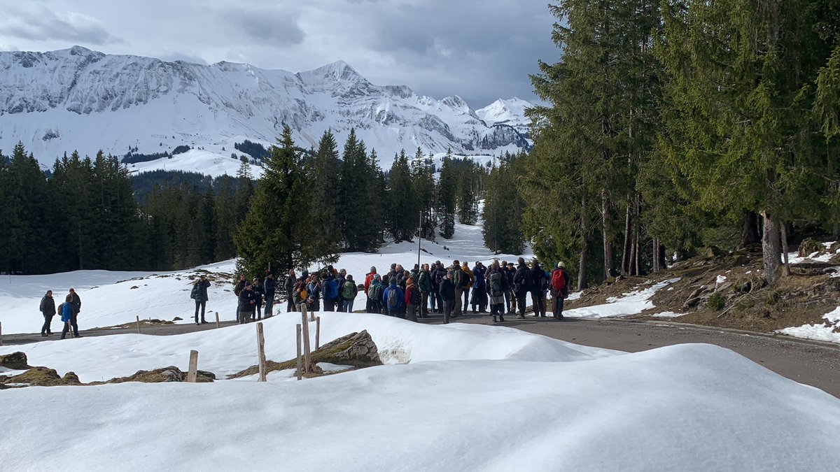 Gerard Troost tweet media