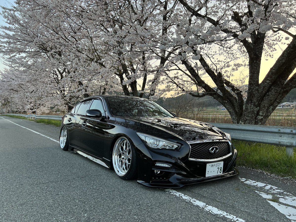 siotan4491's tweet photo. 桜とパシャリ🌸
iPhone13プロ優秀すぎる🥺
#airmext #airmextjapan
#v37スカイライン #v37 #q50
#INFINITY #インフィニティ
#日産 #ds01 #IMPUL https://t.co/o5yfHLWwmR