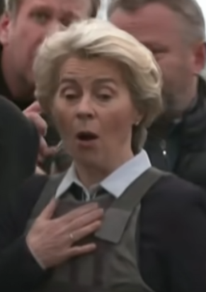 patronducafe's tweet photo. https://t.co/fbmQoyCXFZ niets in EU commissievoorzitter von der Leyen te dol om aandacht van TV camera's te trekken #vonderleyen #butja #eu #josephborell https://t.co/wiZPEkWVrK