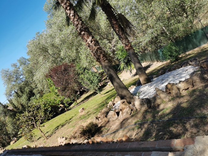 Busy gardening, it's a glorious day, who wants to come clean the pool 😎 https://t.co/Z8HeShl0Da