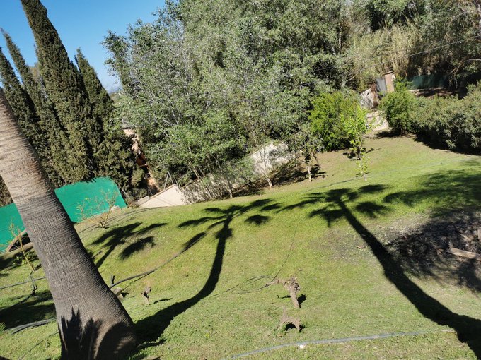 Busy gardening, it's a glorious day, who wants to come clean the pool 😎 https://t.co/Z8HeShl0Da