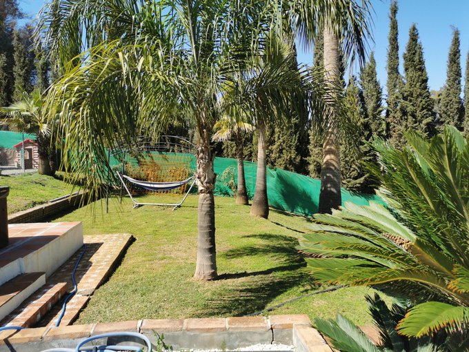 Busy gardening, it's a glorious day, who wants to come clean the pool 😎 https://t.co/Z8HeShl0Da