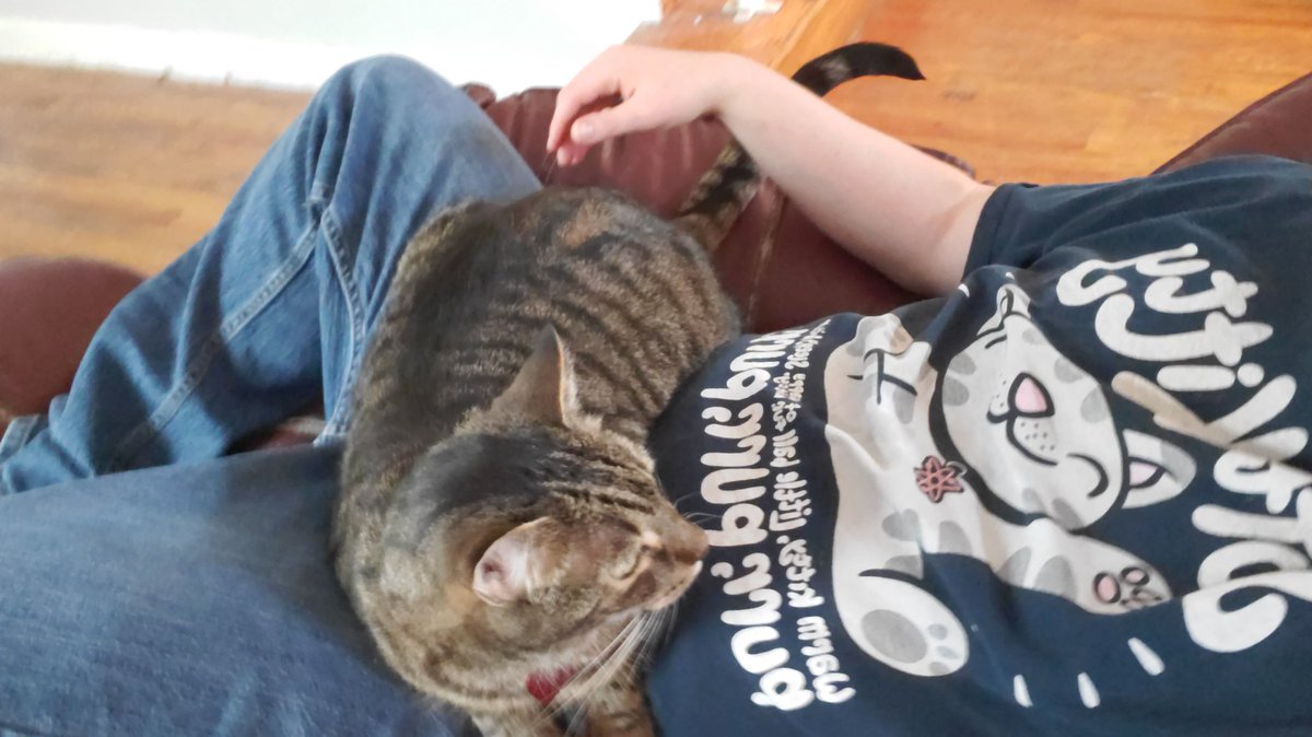 Joeenergy765475's tweet photo. #Caturday 
#CatsOfTwitter 
#retweetswelcome https://t.co/7zzK9OdeFG