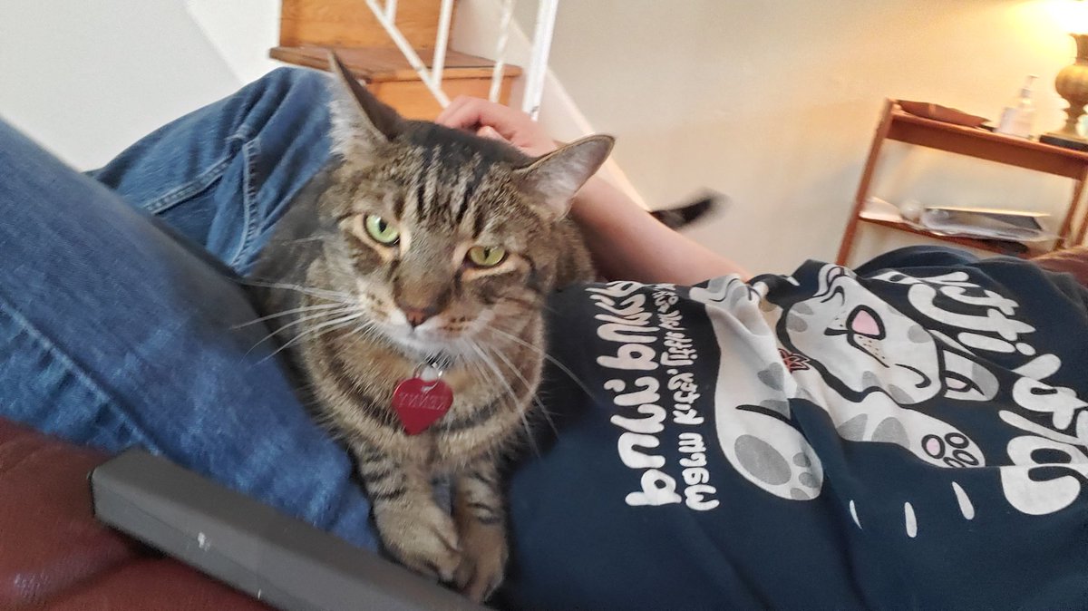 Joeenergy765475's tweet photo. #Caturday 
#CatsOfTwitter 
#retweetswelcome https://t.co/7zzK9OdeFG