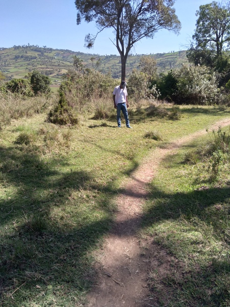 Wesley523780912's tweet photo. Ngetik is a kalenjin name meaning boys, let them give us an alternative name to call our boys, coz it's like NCIC knows kalenjin language more than us. Wako na kiherehere kama shot ya kwanza. NKT! #HatupangwingwiWSR Kenya Kwanza #gideon Moi https://t.co/EyKMKfbwaR https://t.co/sEiIl1ExOg